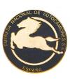 Pegaso